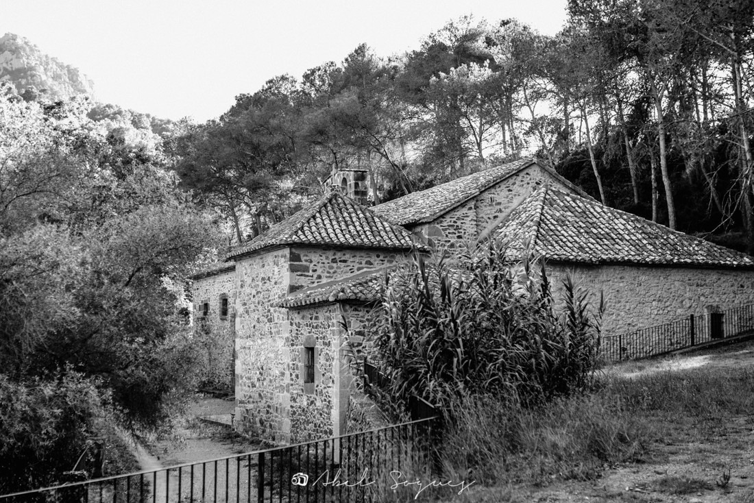 www.abelsogues.com-021-B17_6526